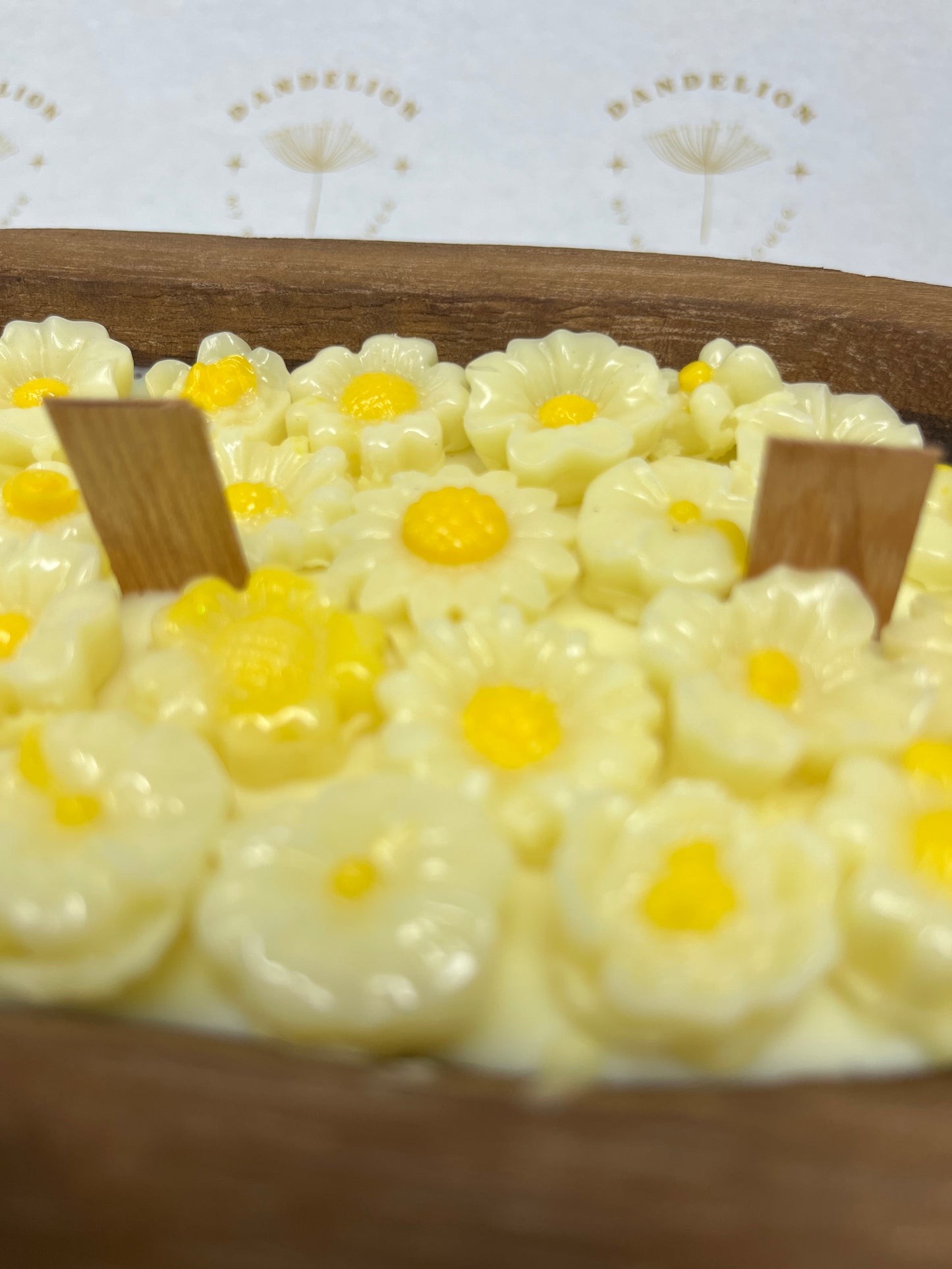 Daisy Garden Candle