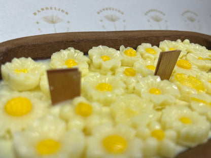 Daisy Garden Candle