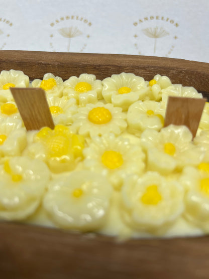 Daisy Garden Candle