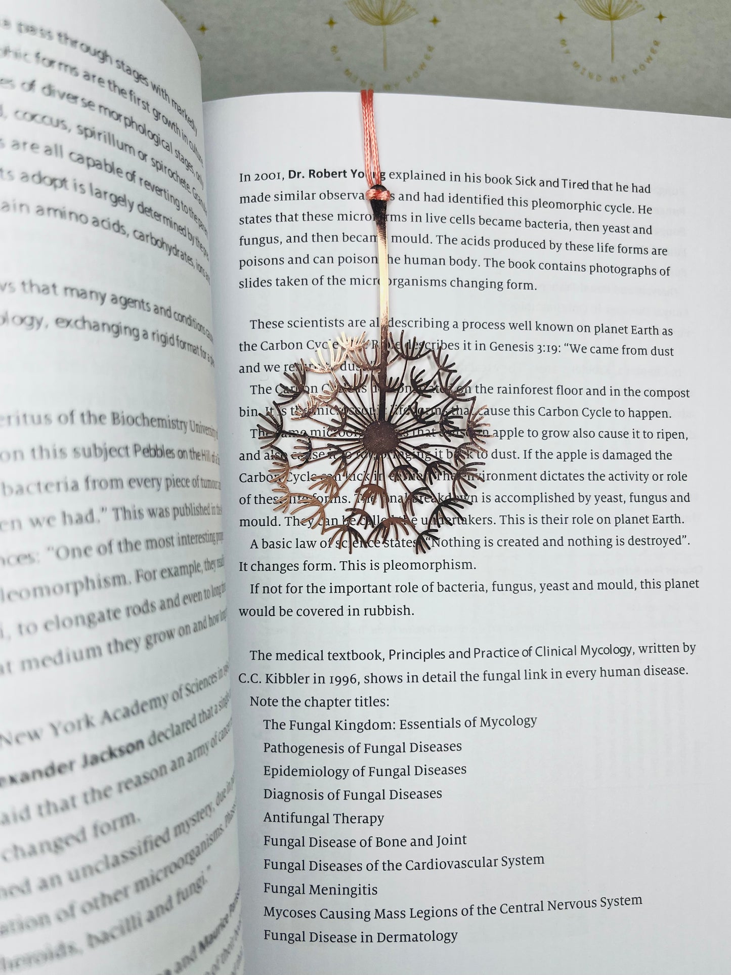 Dandelion Bookmark